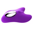 Aixiasia Ebby Panty - akkus, rádiós csiklóvibrátor szett (lila)