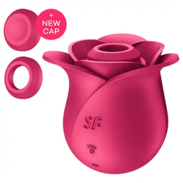 Satisfyer Pro 2 Modern Blossom - léghullámos csiklóizgató (pink)