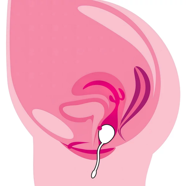 You2Toys RC Single - rádiós vibrációs tojás (lila)